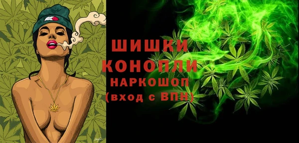сатива Переславль-Залесский