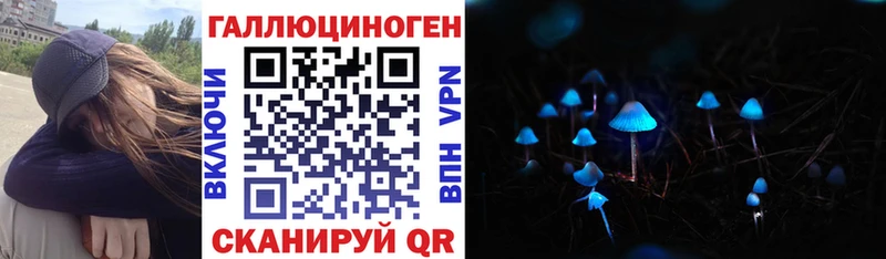мориарти телеграм Обоянь Галлюциногенные грибы Psilocybe